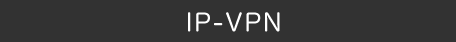 IP-VPN