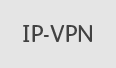 ipVPN
