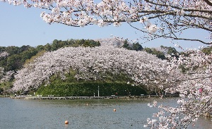 藤枝市役所様